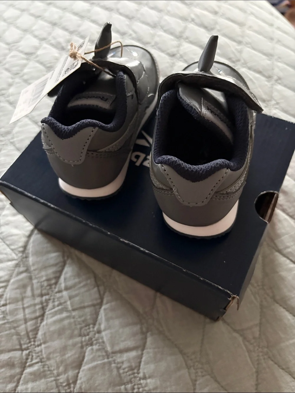 Reebok playful shark